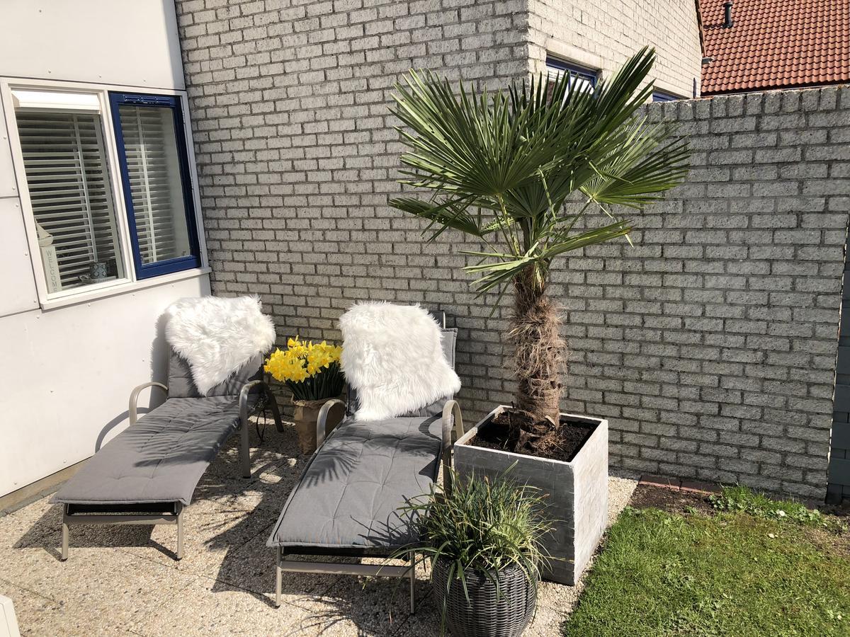Ferienhaus Ooghduyne 176 Julianadorp Bagian luar foto
